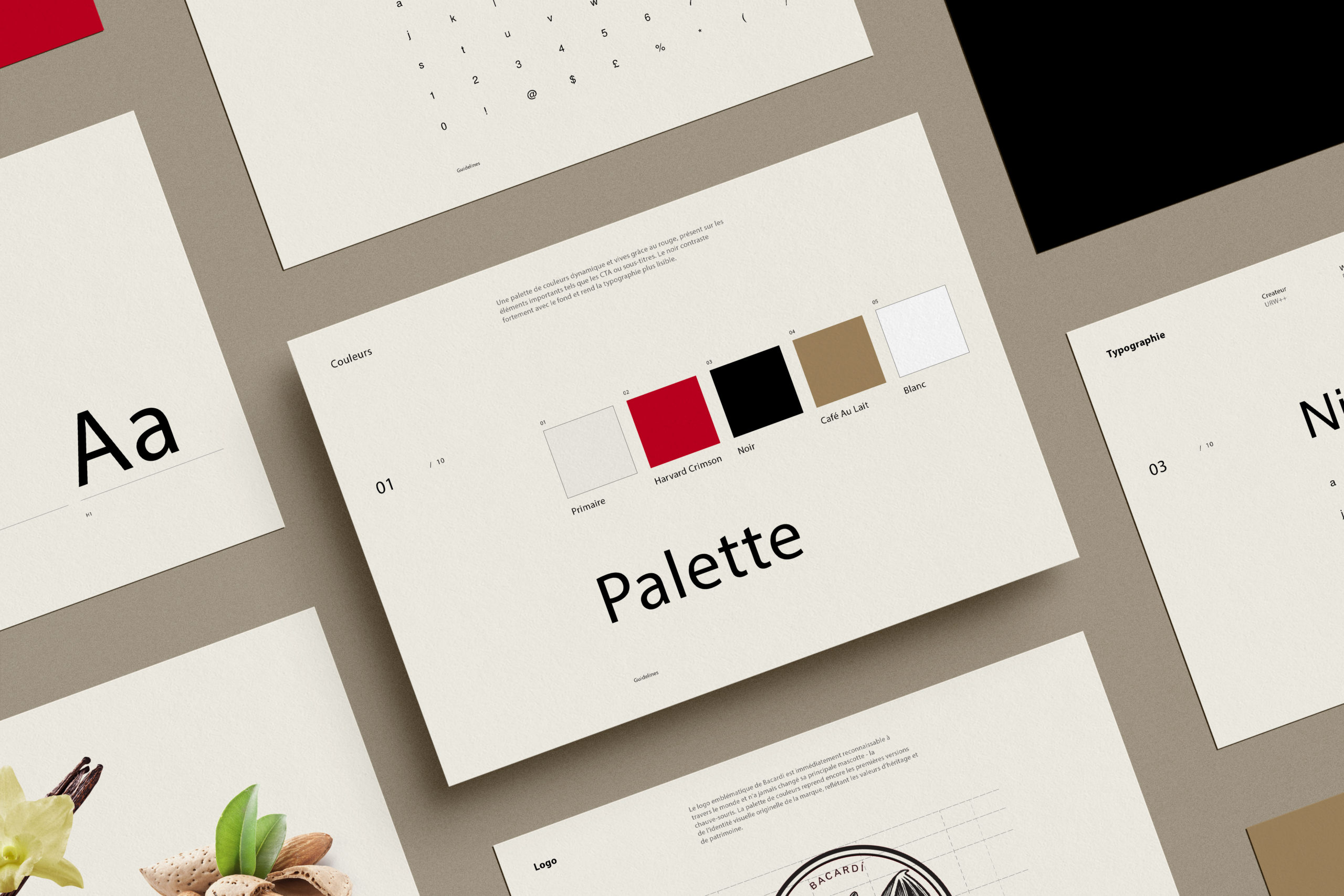 guidelines-bacardi-isometric